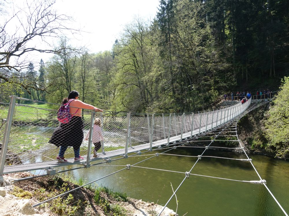 Hängebrücke über die Donau