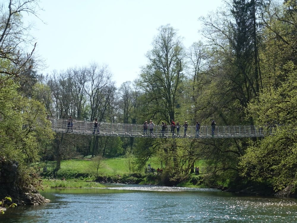 Hängebrücke über die Donau