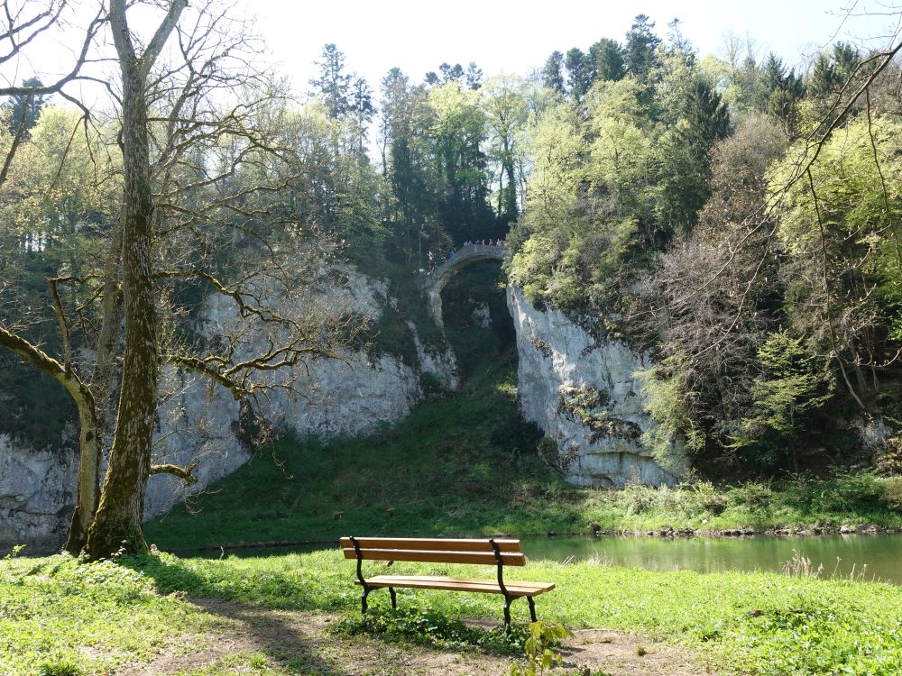 Blick zur Teufelsbrücke