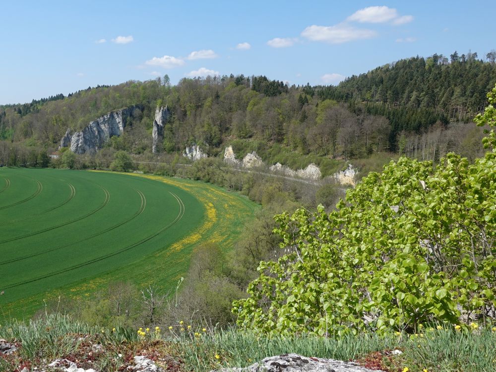 Felsen beim Inzigkofer Bahnhof