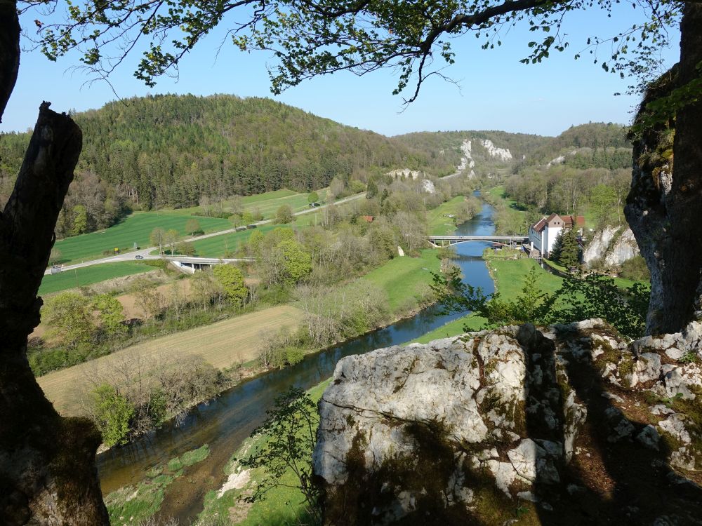 Blick vom Robertsfelsen auf Dietfurt