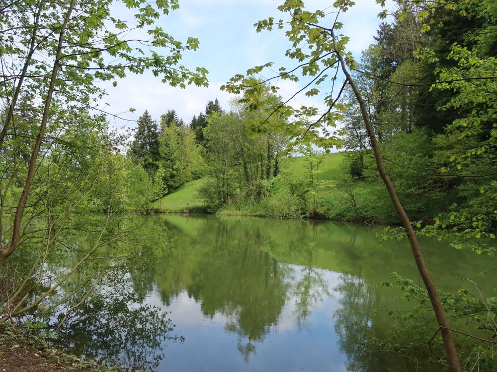 Teich bei Zuckenmatt