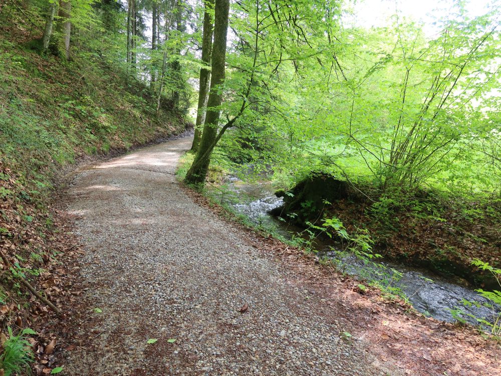 Weg am Dorfbach