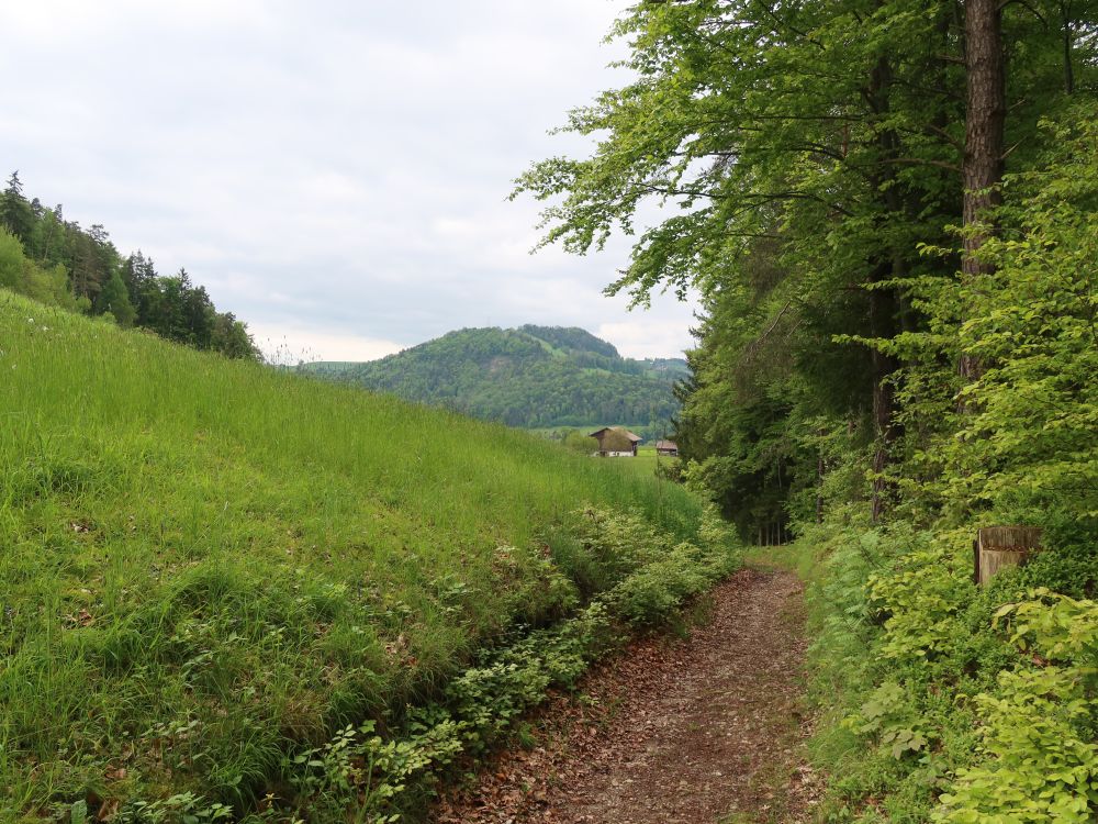 Wanderweg bei Heui