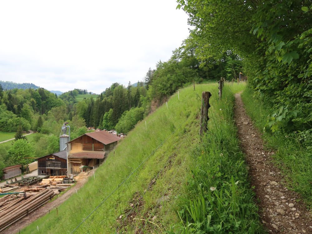 Sägewerk bei Dietfurt