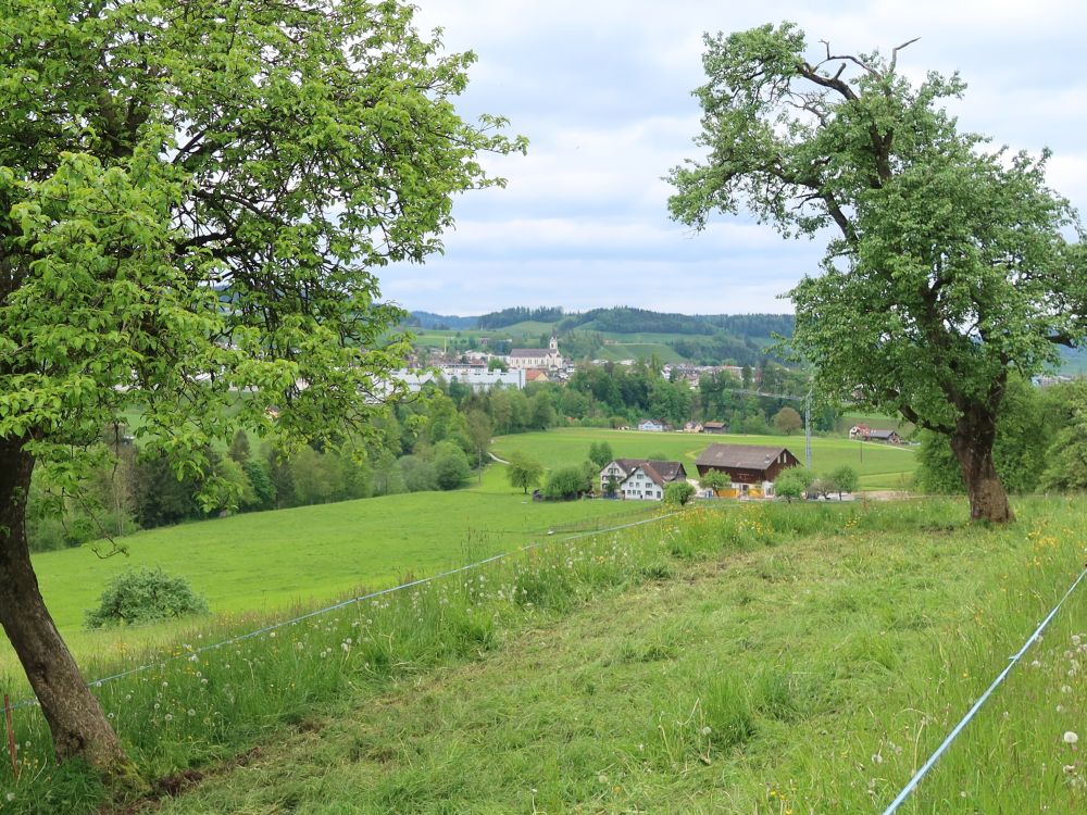 Blick Richtung Bütschwil