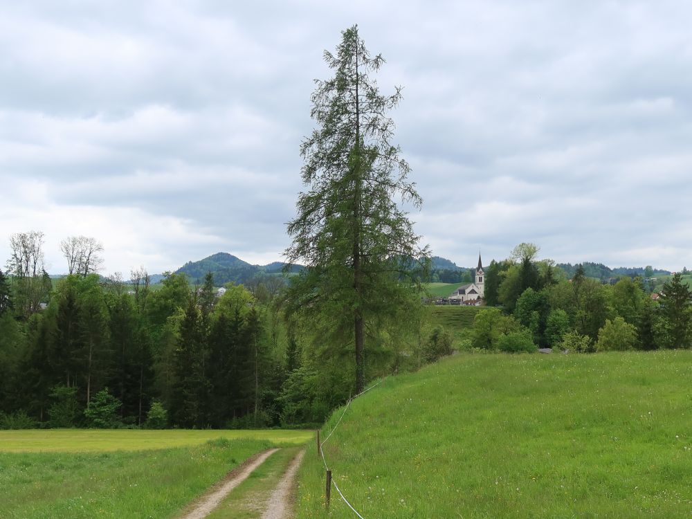 Kirche Bütschwil