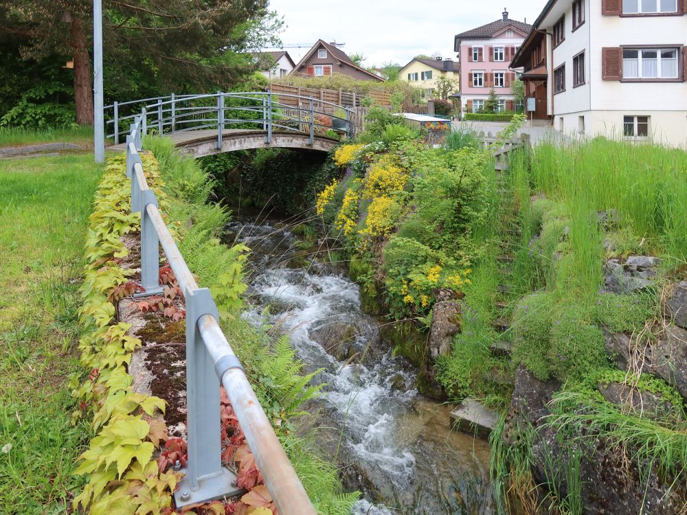 Dorfbach Bütschwil