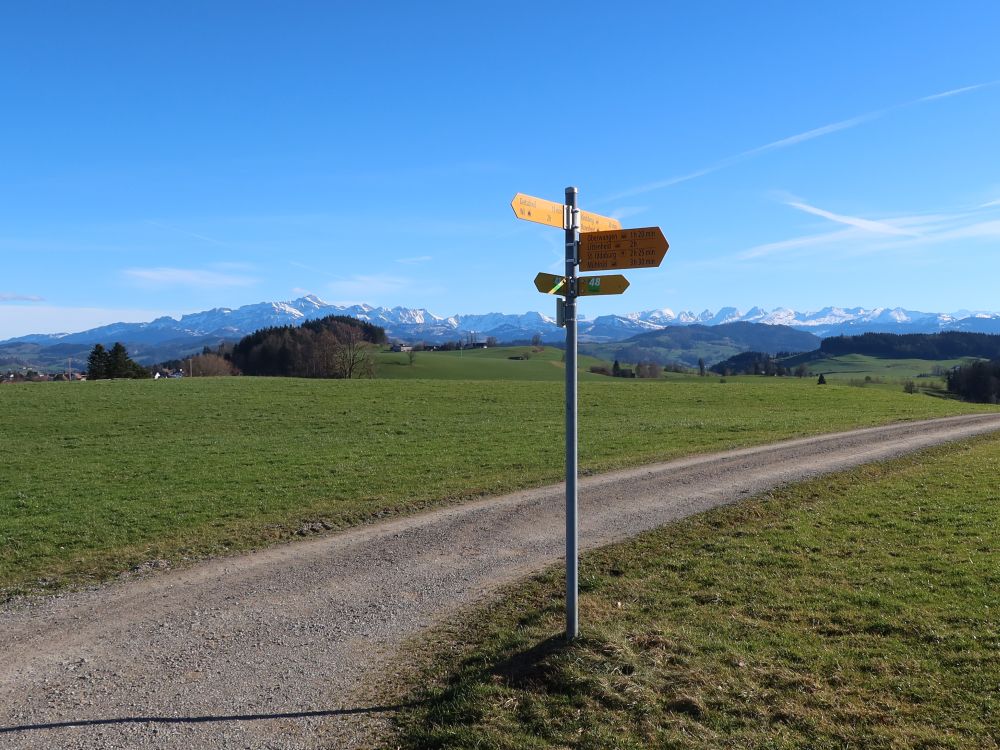 Säntis und Wanderwegweiser