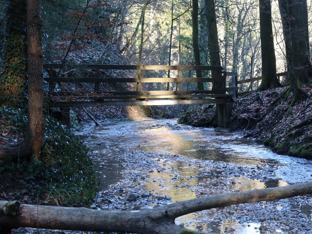 Holzsteg oberhalb Giessenfall