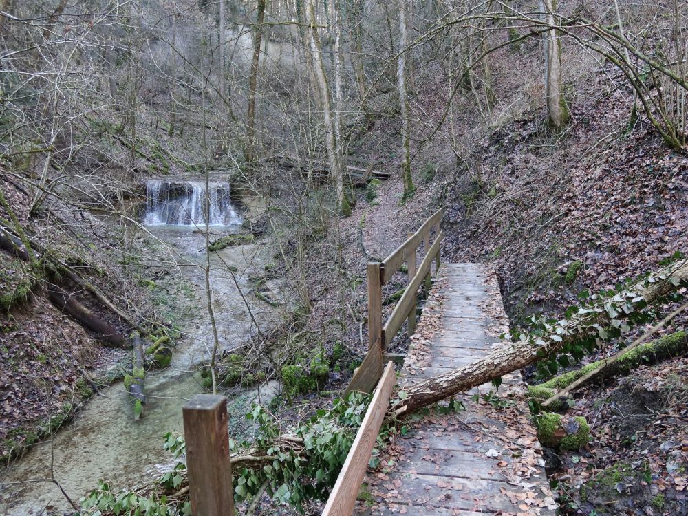 Wasserfall und Holzsteg