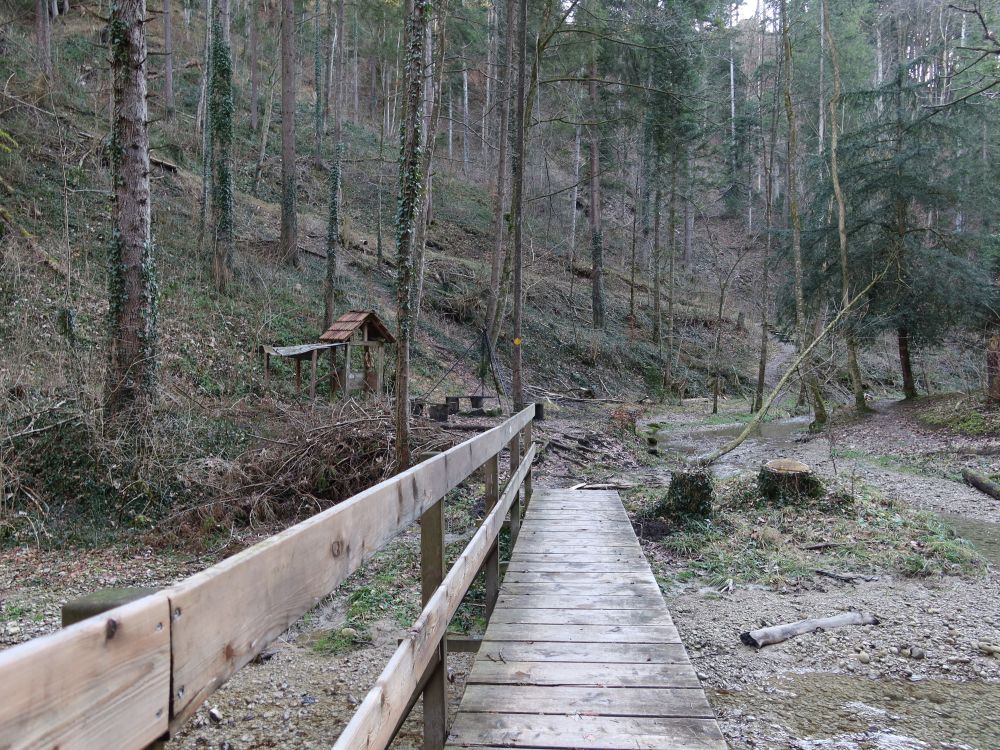 Holzsteg