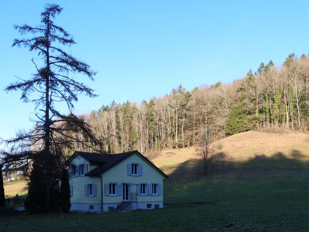 Haus im Schatten