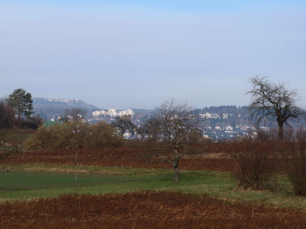 Häuser von Überlingen und Hohenbodman am Horizont