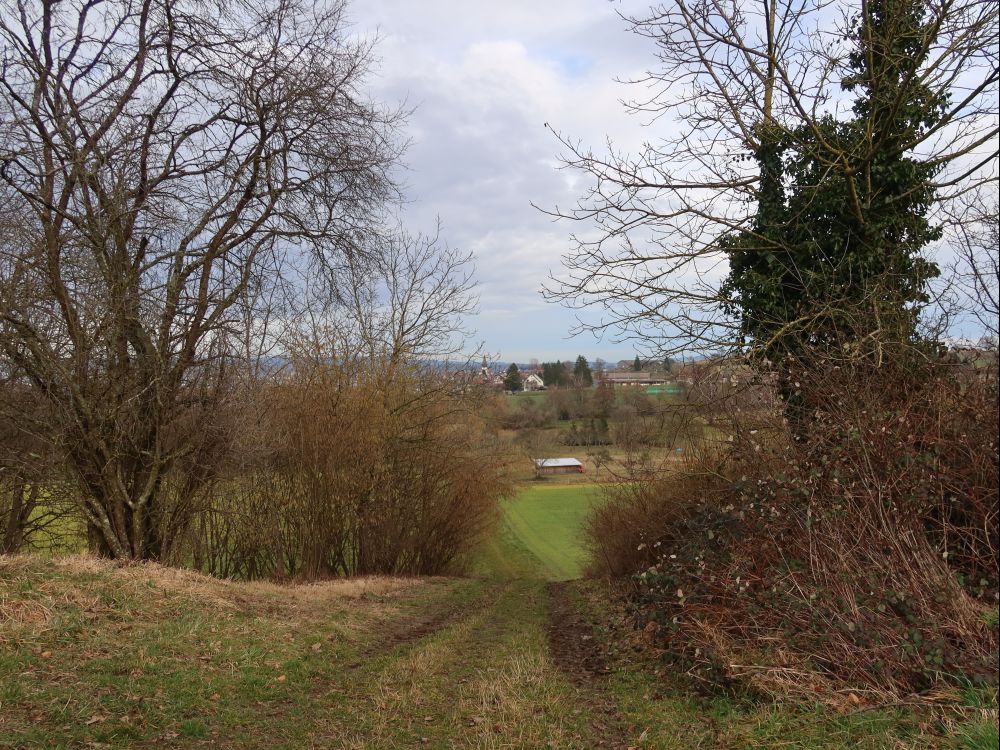 Wiesenweg am Olber