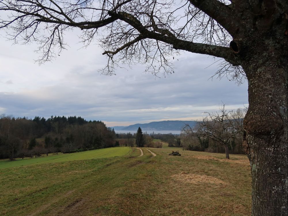 Blick vom Olber