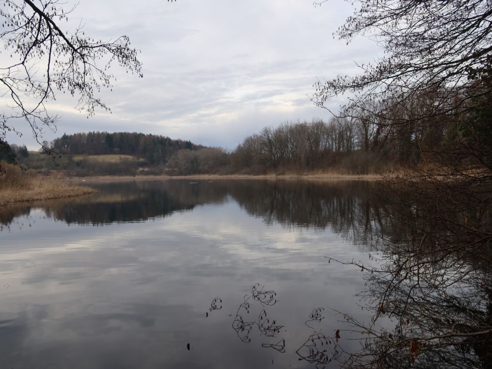 Hagstaffelweiher