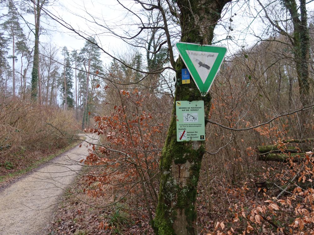 Weg im Naturschutzgebiet