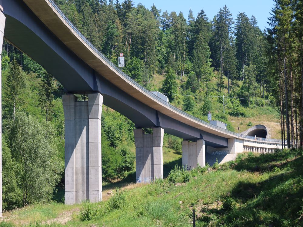 Brücke und Tunnelöffnung B31