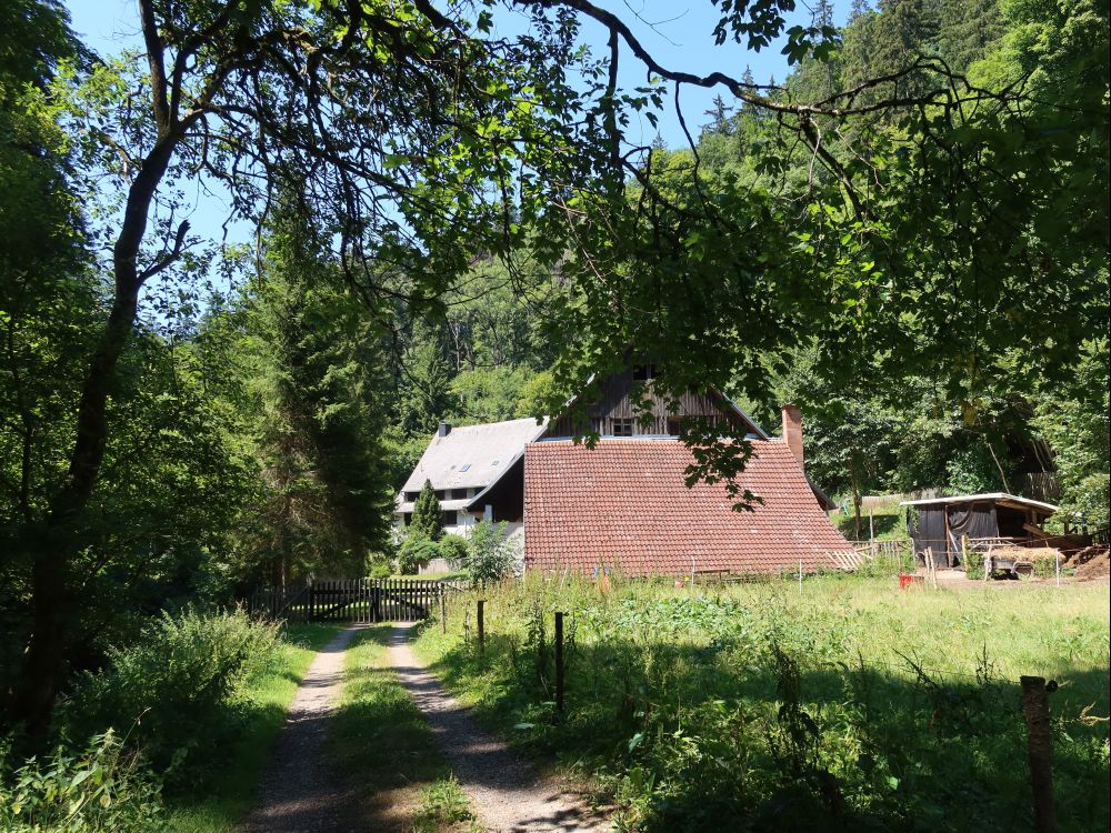 Eulenmühle