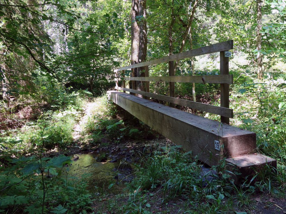 Holzsteg über die Gauchach