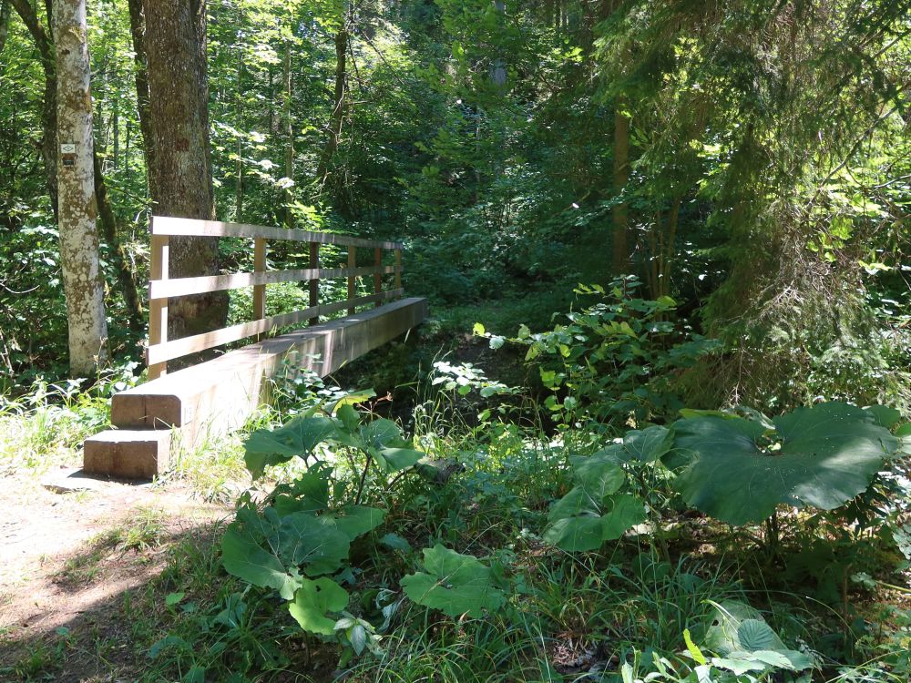 Holzsteg über die Gauchach