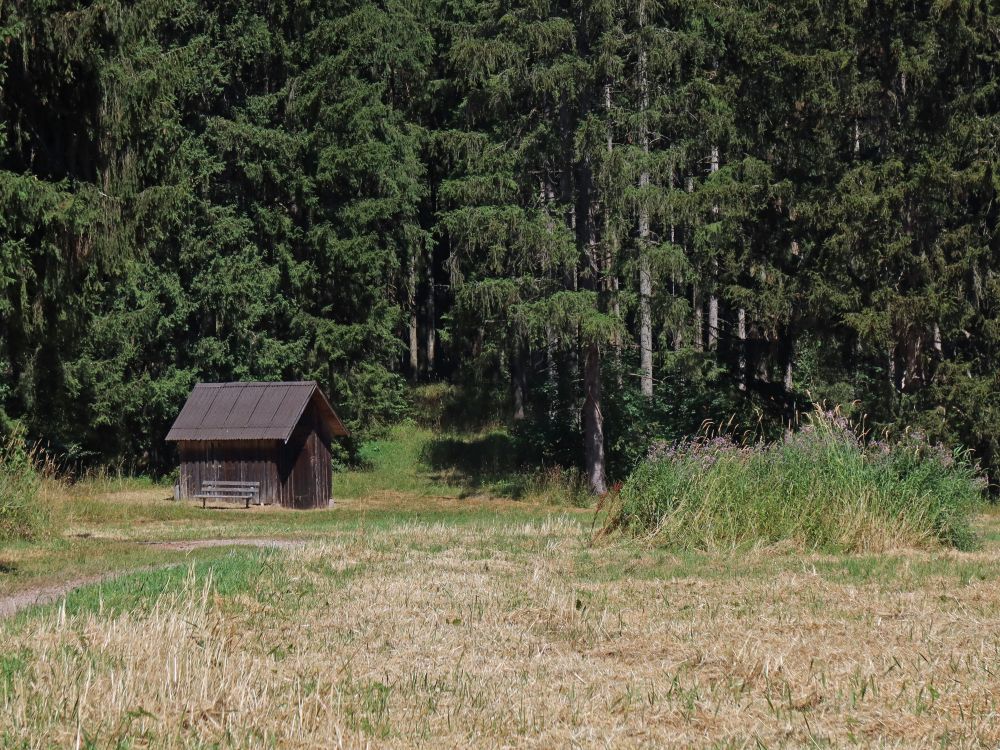 Waldhütte