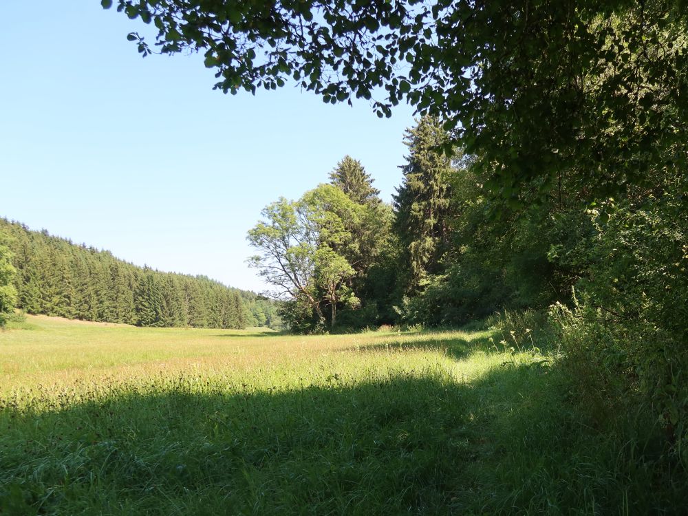 Wiesenpfad im Mauchachtal