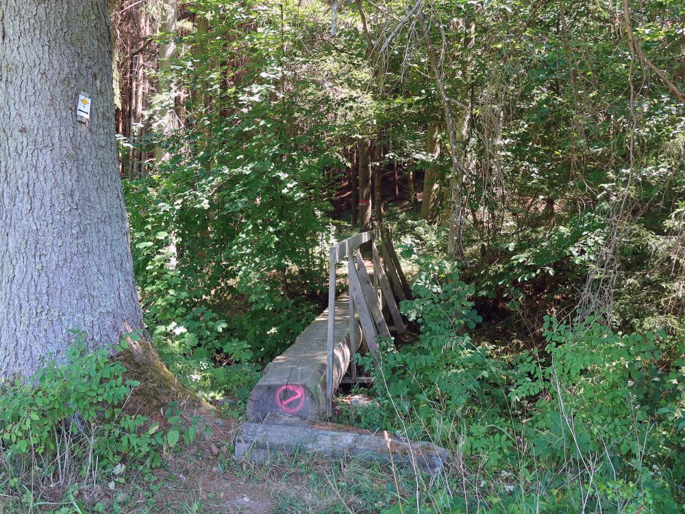 Holzsteg über die Mauchach