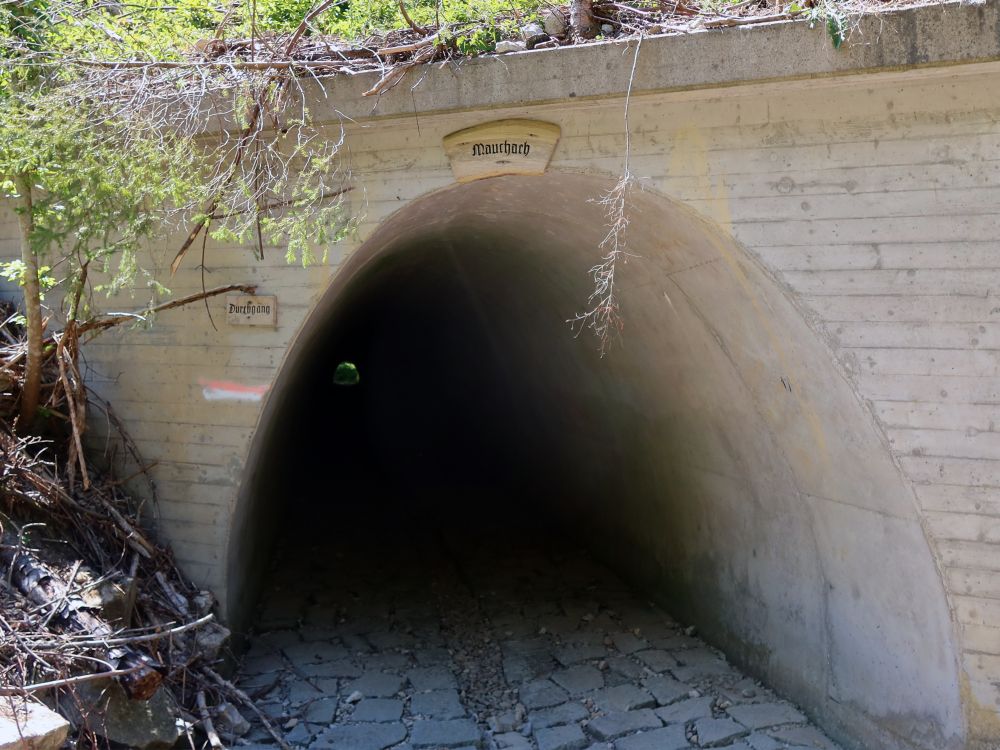 Wanderweg durch Tunnel der Mauchach