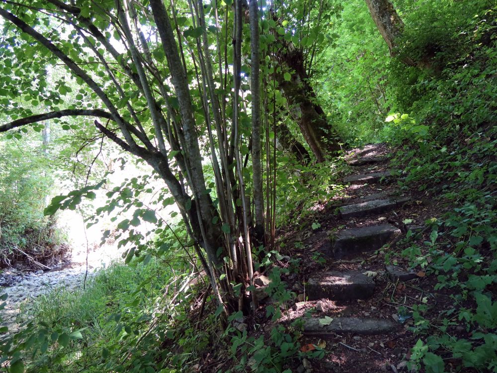 Treppe an der Mauchach