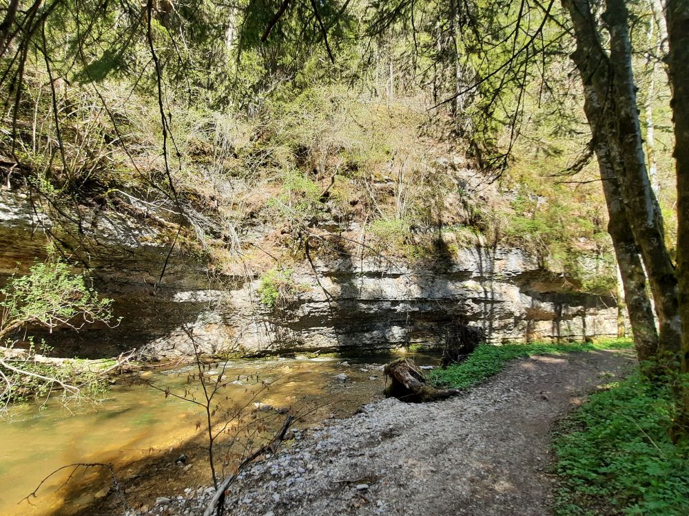 Gauchach zwische Fels und Pfad