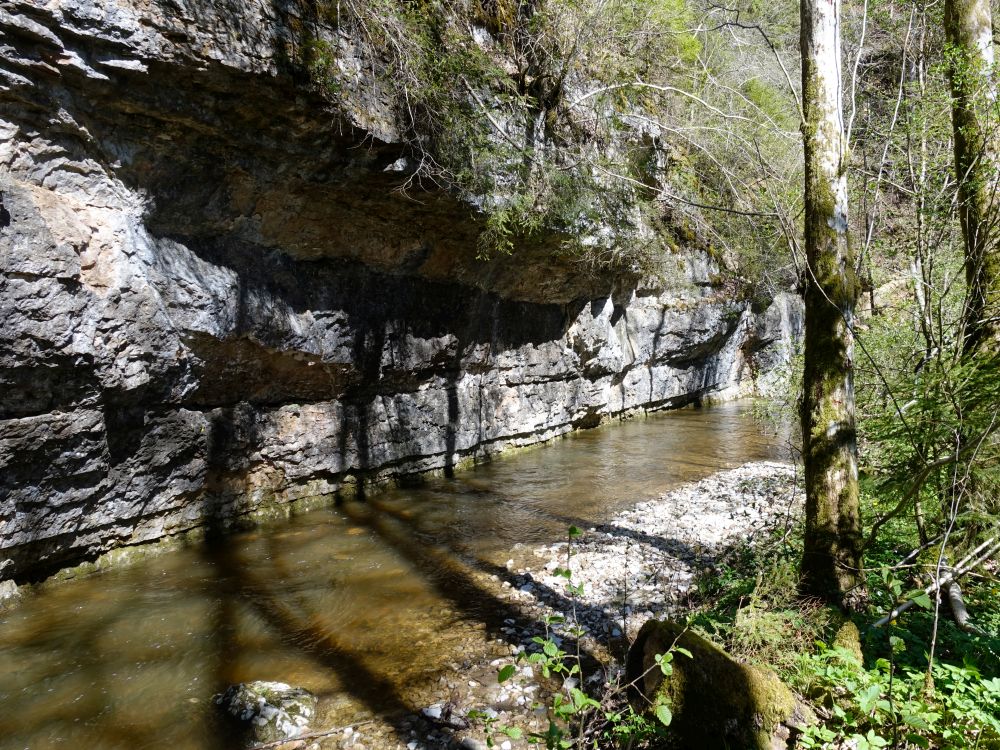 Gauchach zwische Fels und Pfad