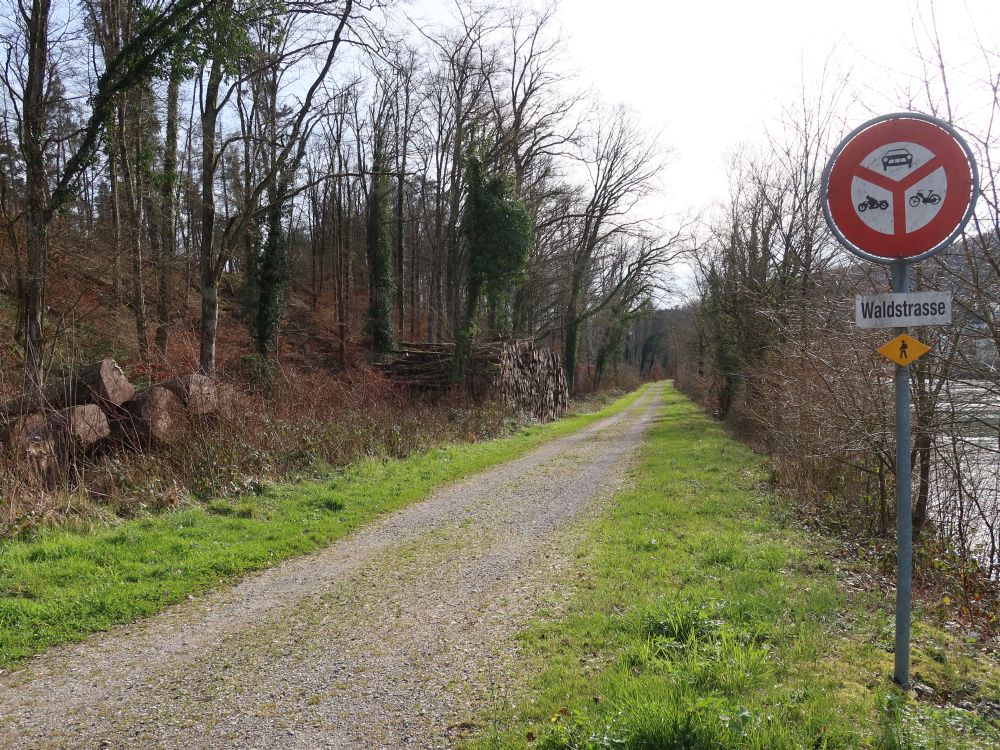 Waldstrasse an der Aare