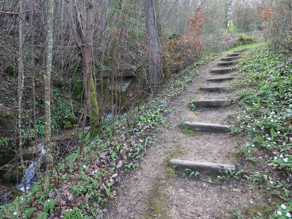 Treppe am Schmidberg