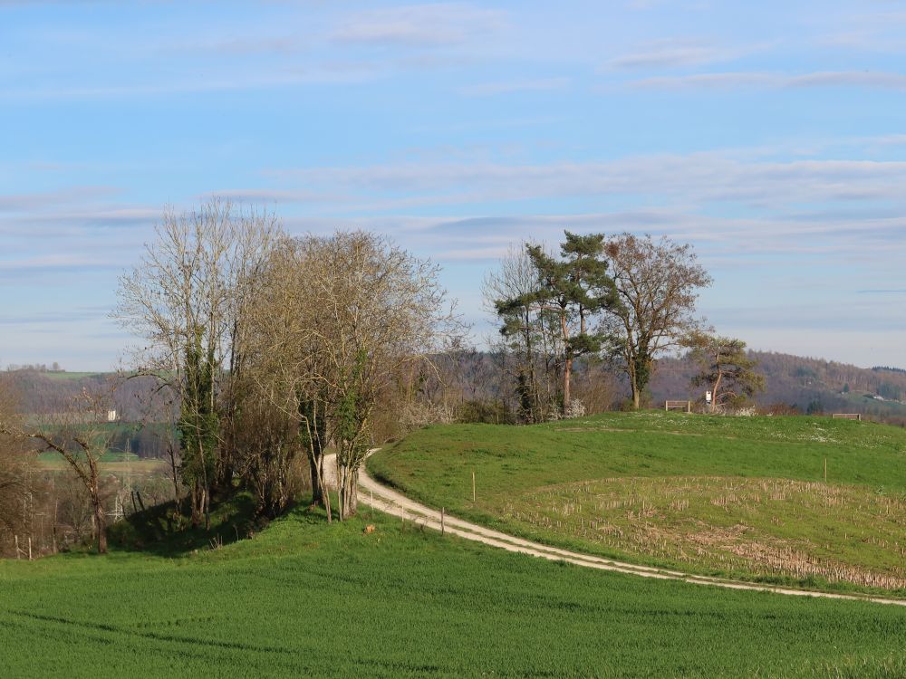 Aussichtspunkt oberhalb Böttstein