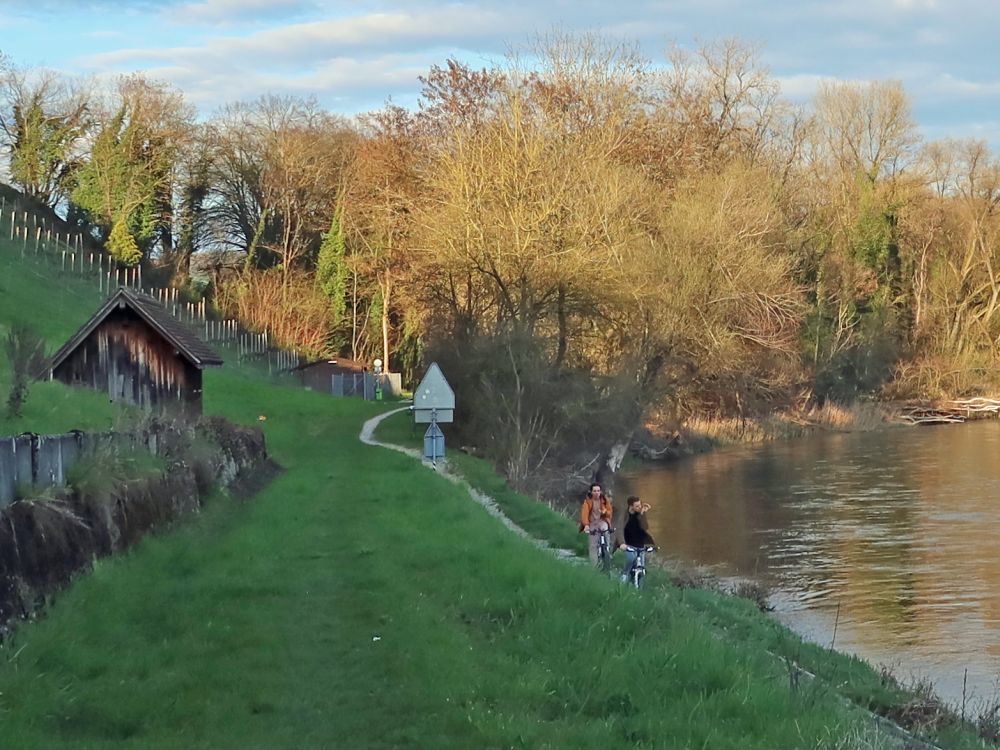 Aarehalde und Pfad an der Aare