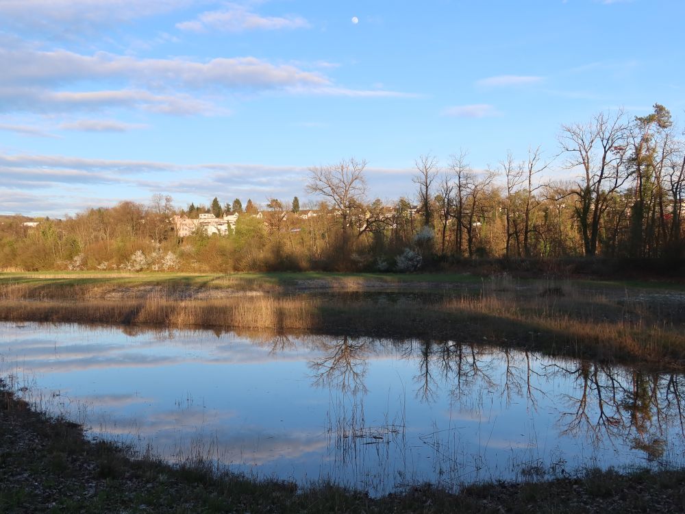 Teich bei Weerd