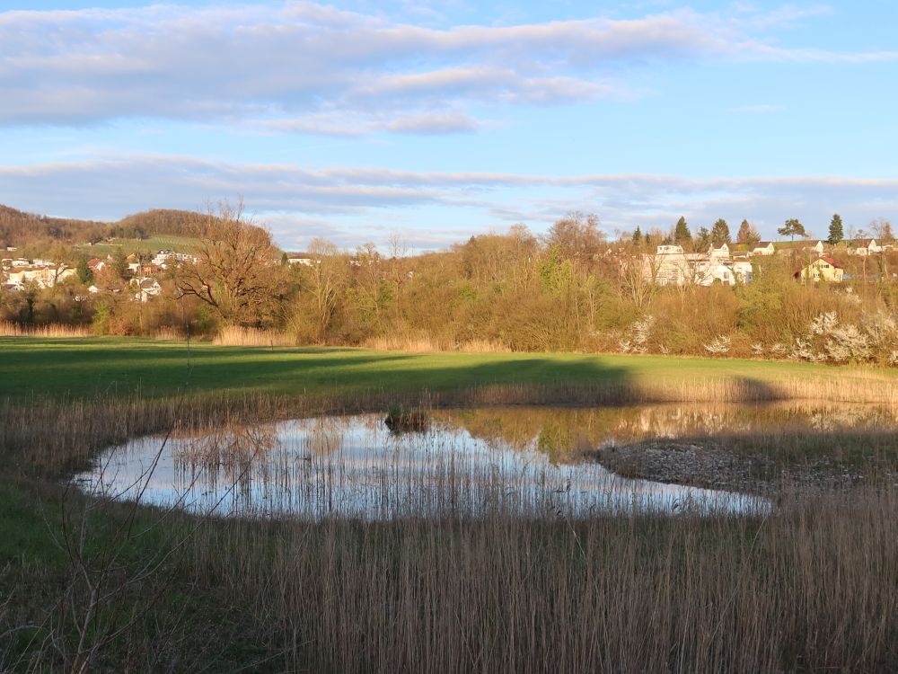 Teich bei Weerd