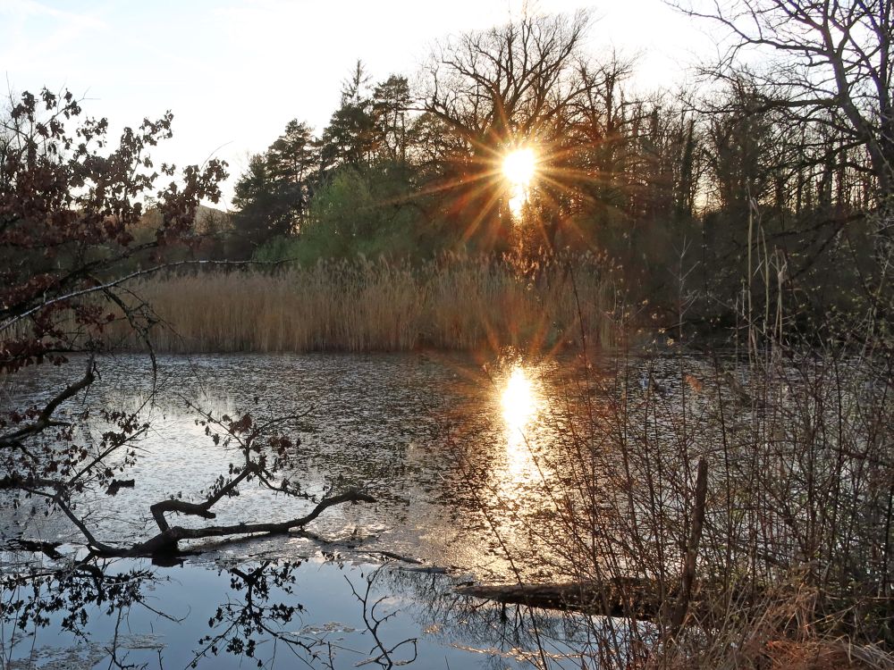 Sonnenstern mit Spiegelung