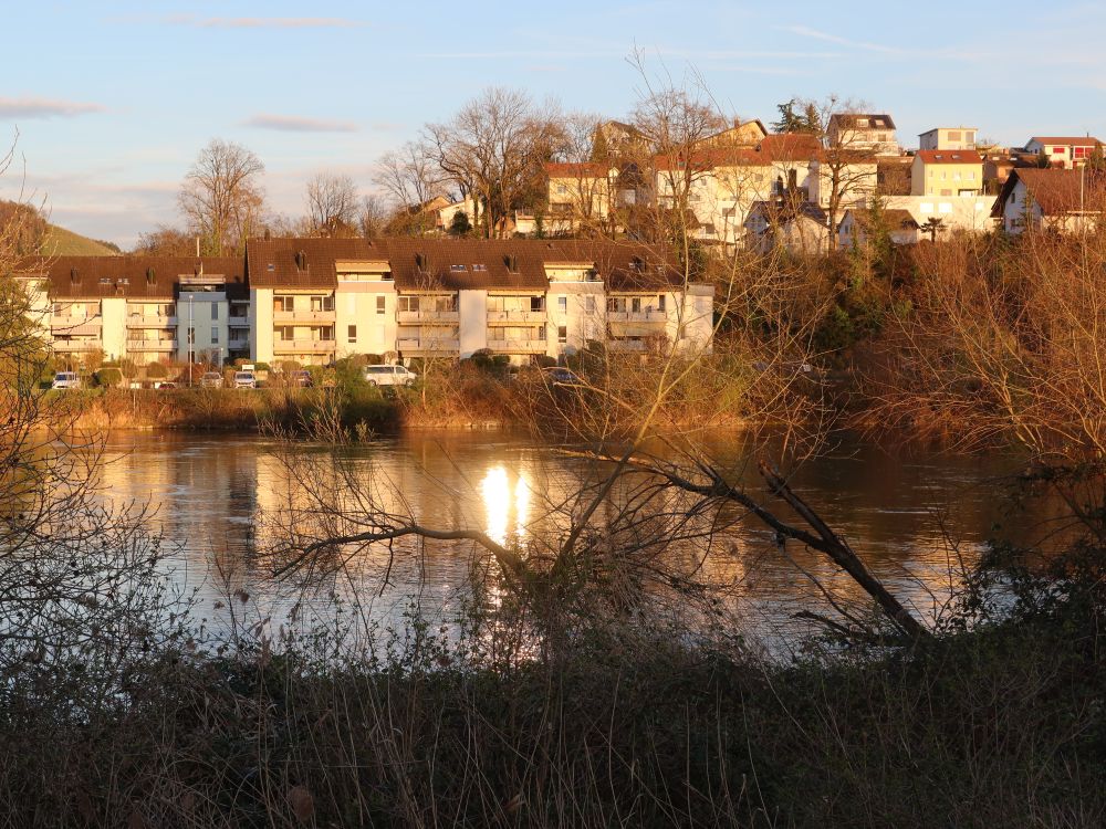 Spiegelung in der Aare