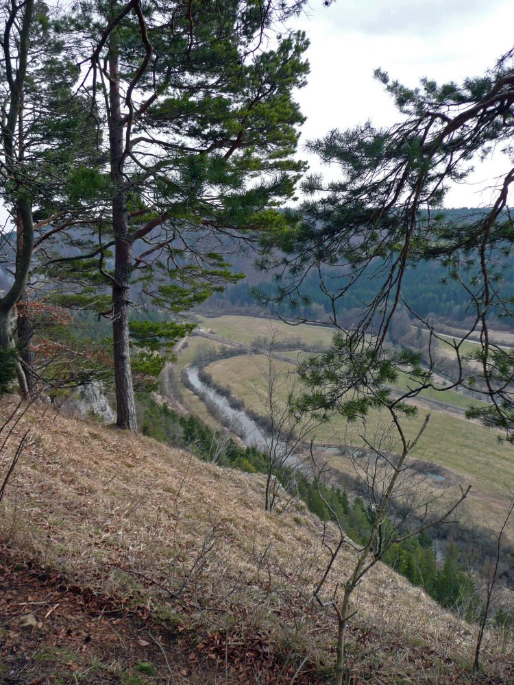 Blick von Gelben Fels