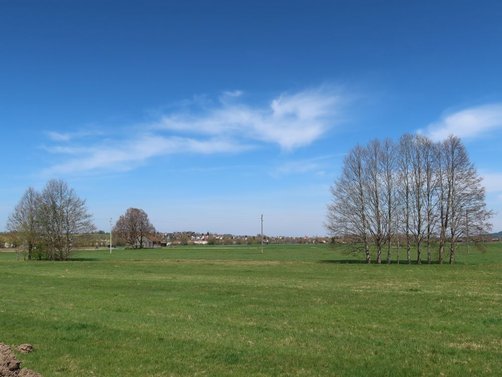 Blick über Grieß Richtung Donaueschingen