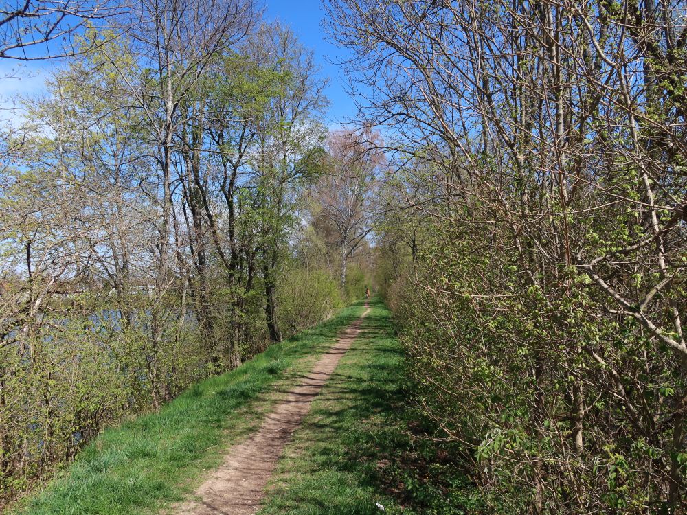 Pfad am Kofenweiher