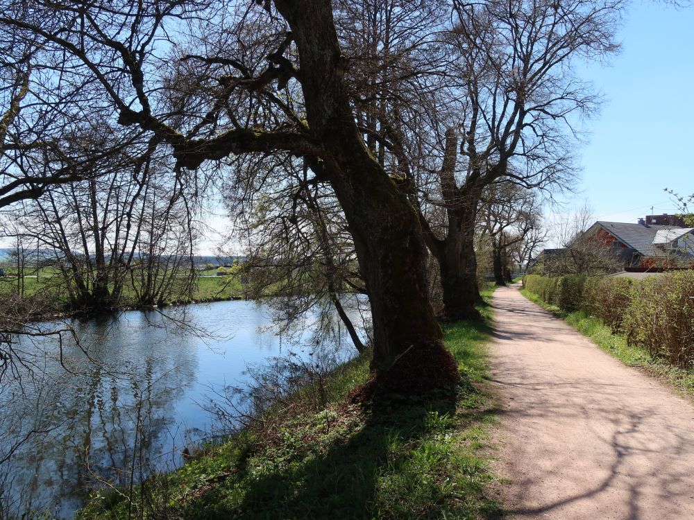 Uferweg an der Breg