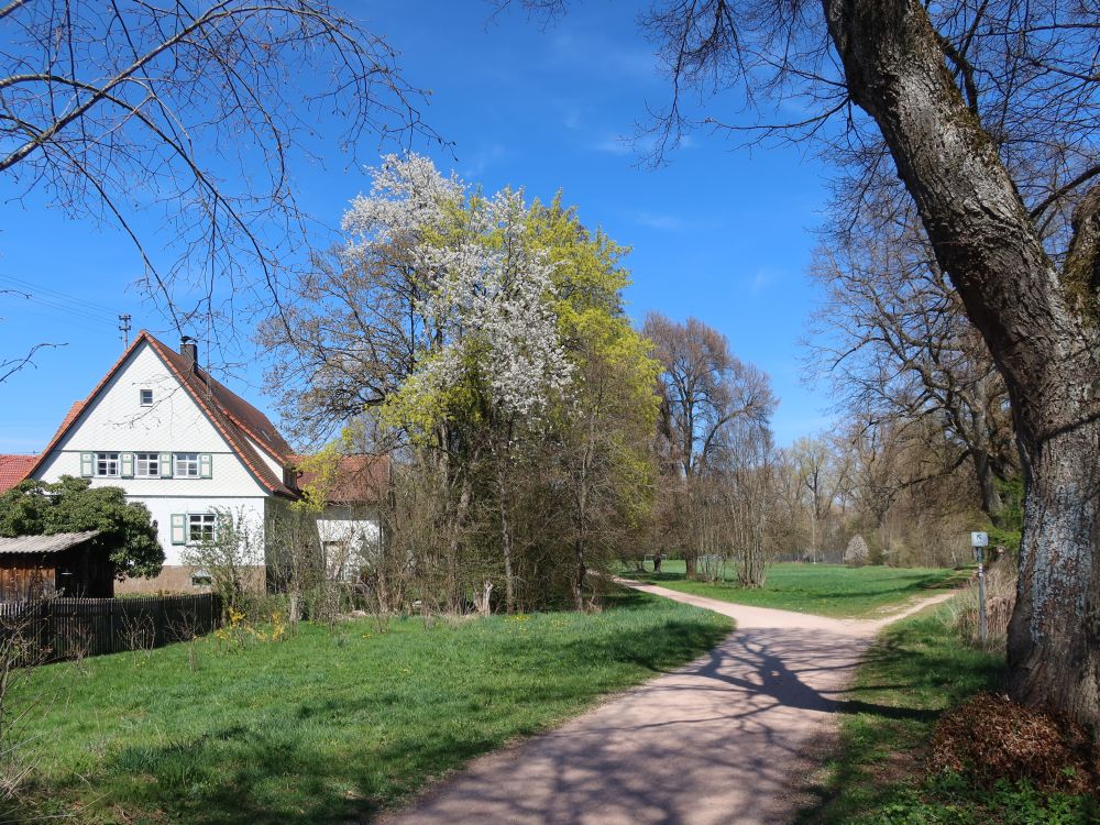 Weg am südlichen Parkrand