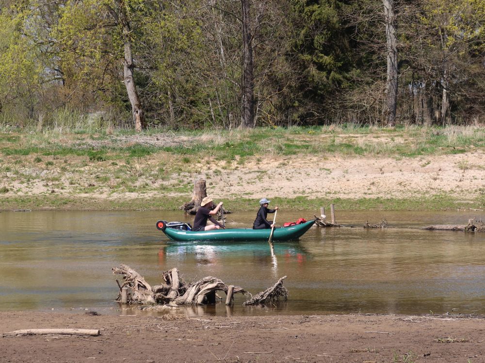 Kanu auf der Donau