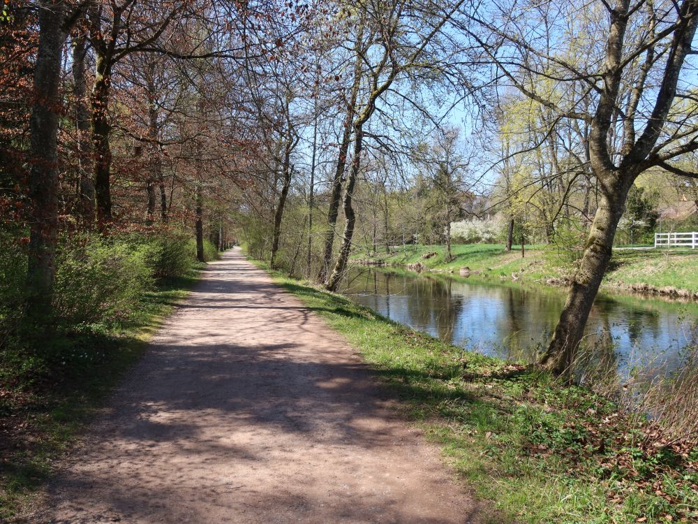 Weg an der Brigach