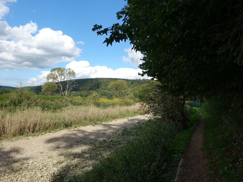 Pfad am Donauufer