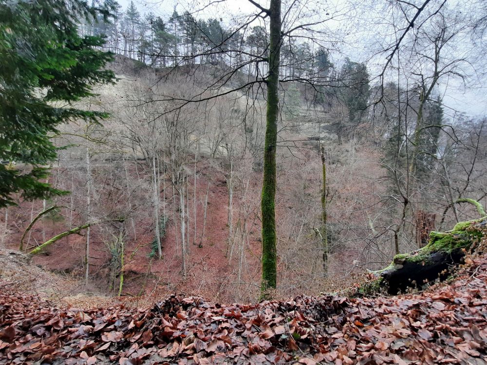 Blick übers Echotal